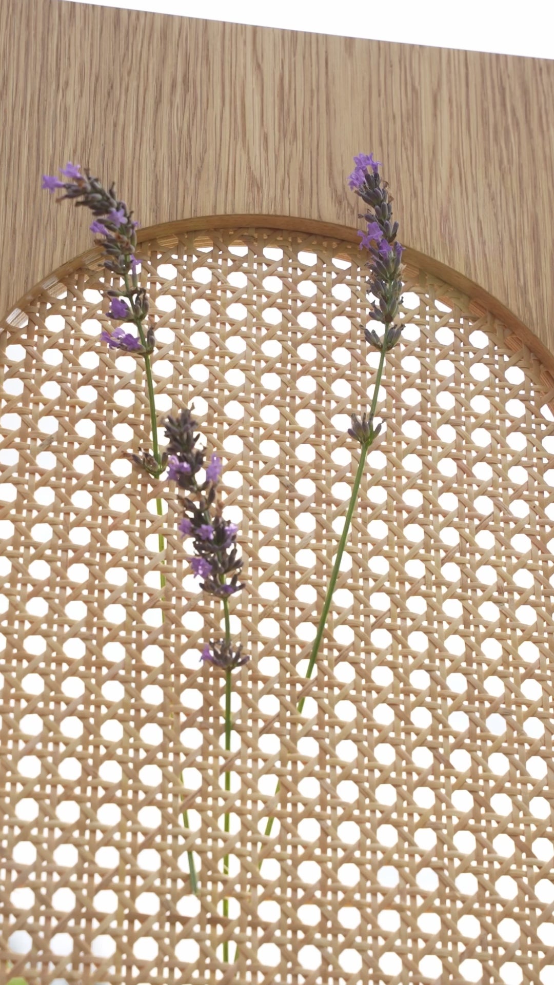 Load video: Highboard MOON L