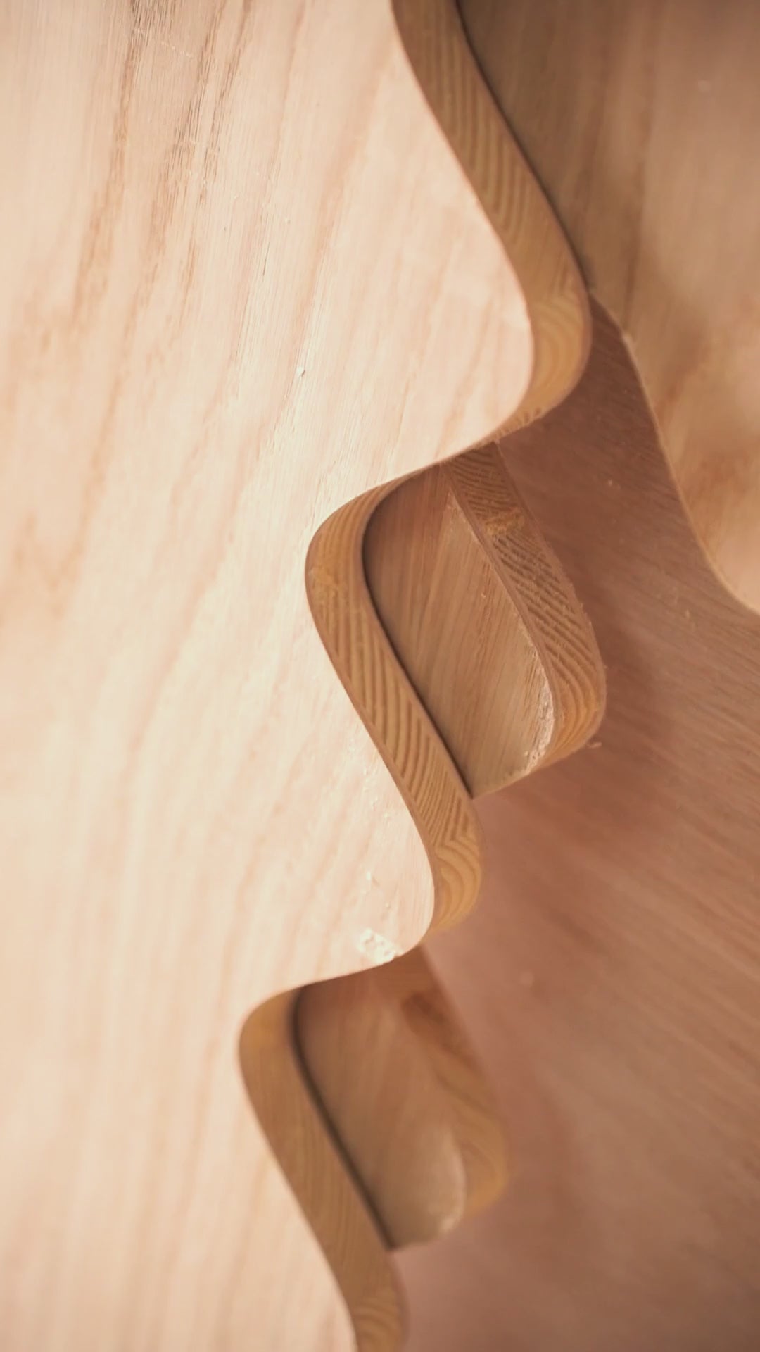 Load video: LARO  Bookcase